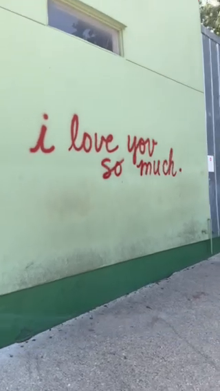 South Congress Vibes