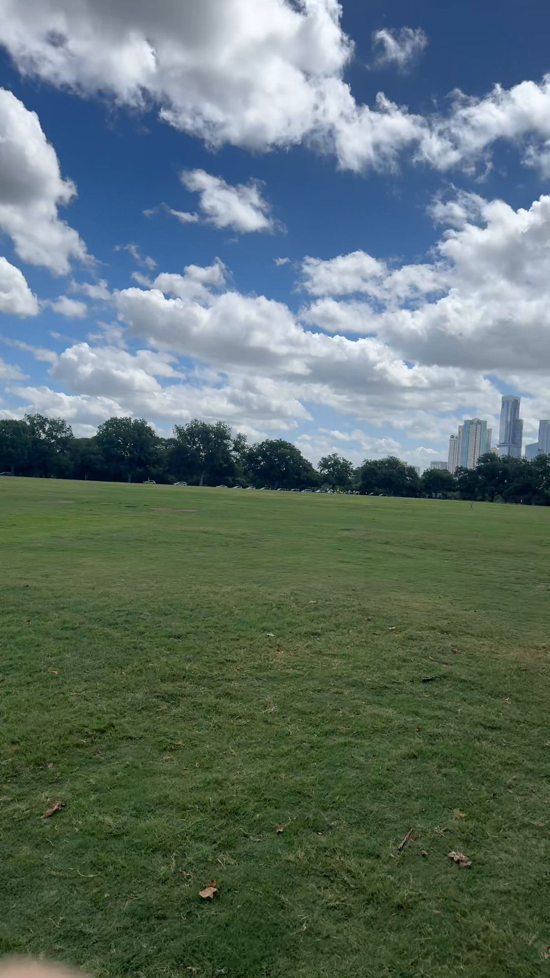 Zilker Serenity