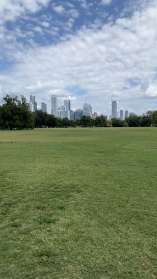 Zilker Park Vibes