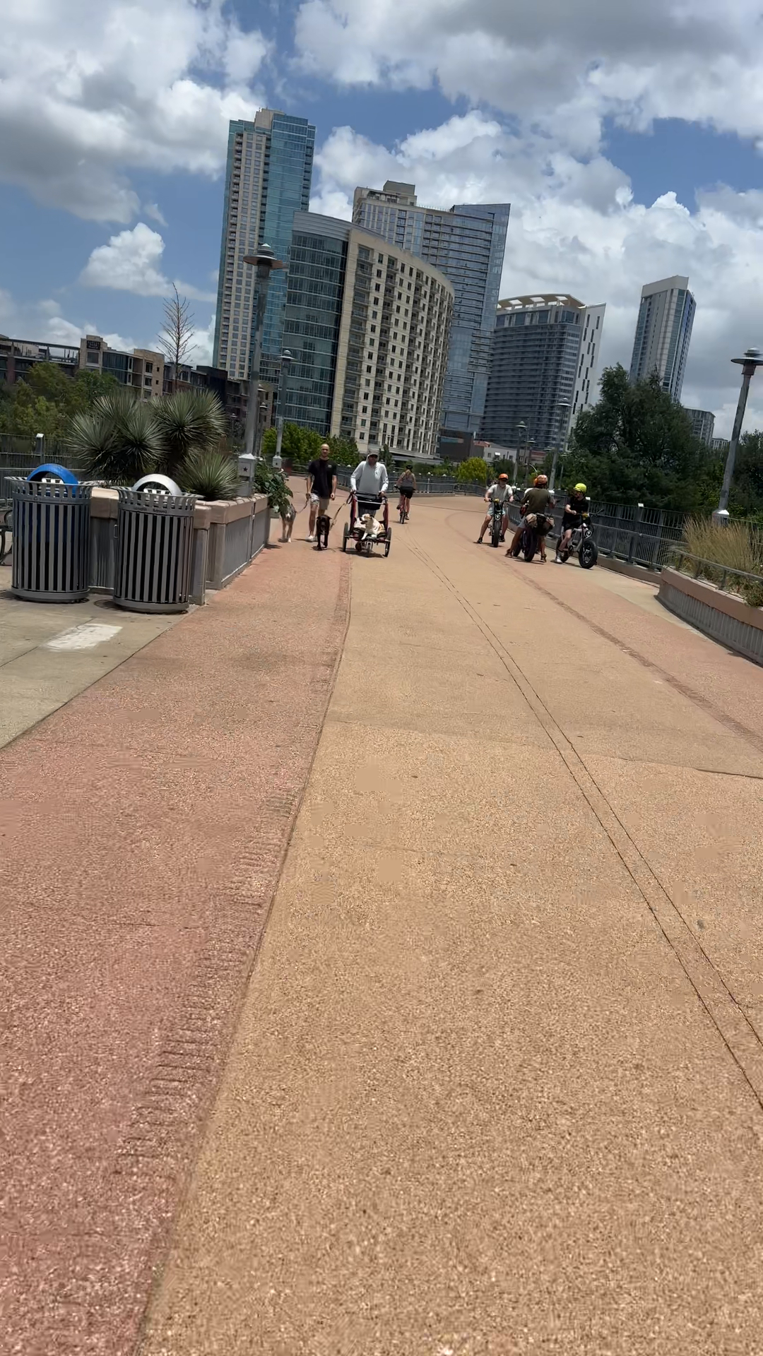 Vibrant Bridge Scene