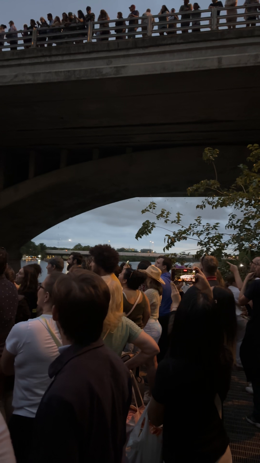 Congress Avenue Bridge — Community video by a Cityvibe spotter