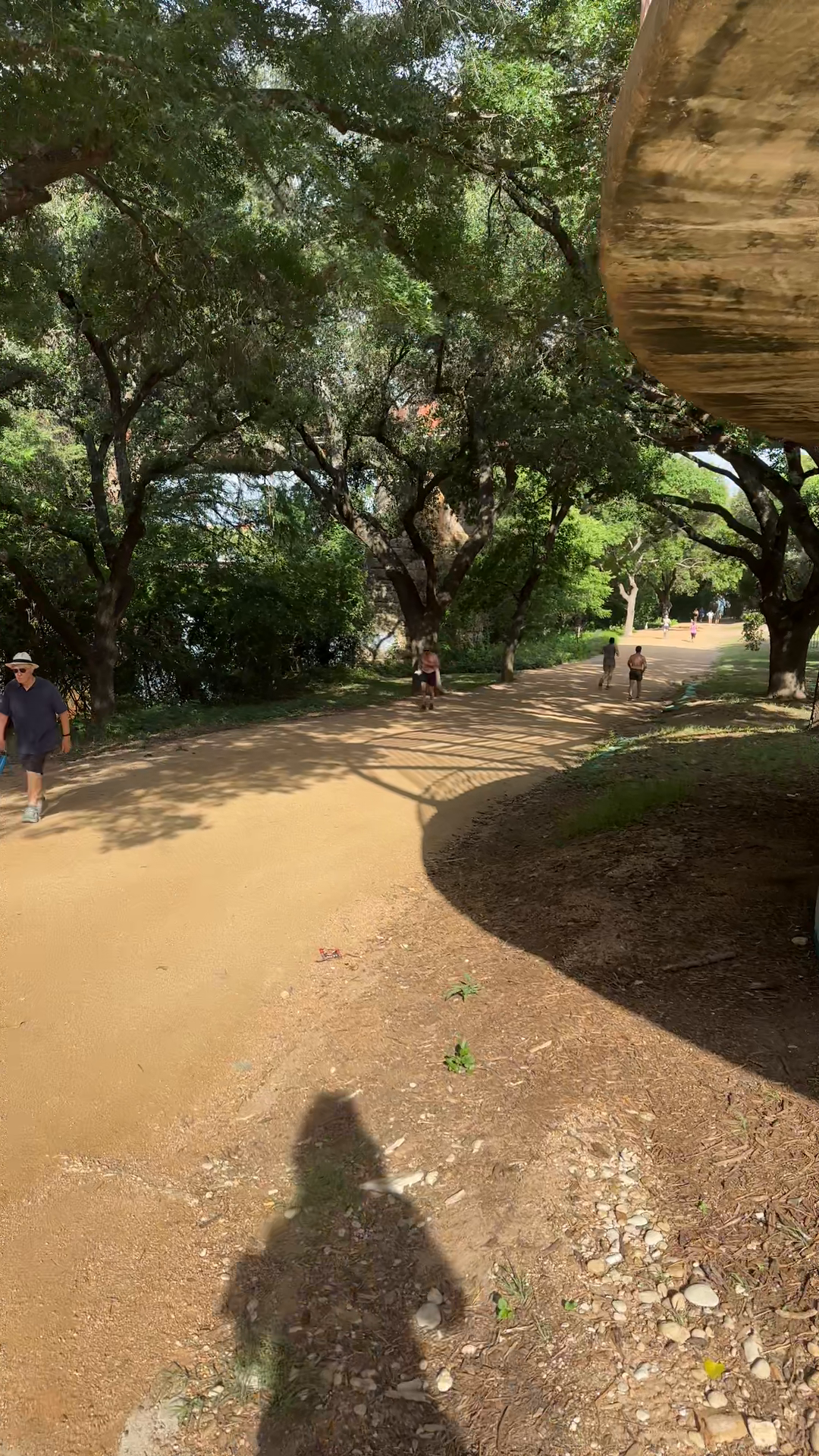 Trail Activity Trends