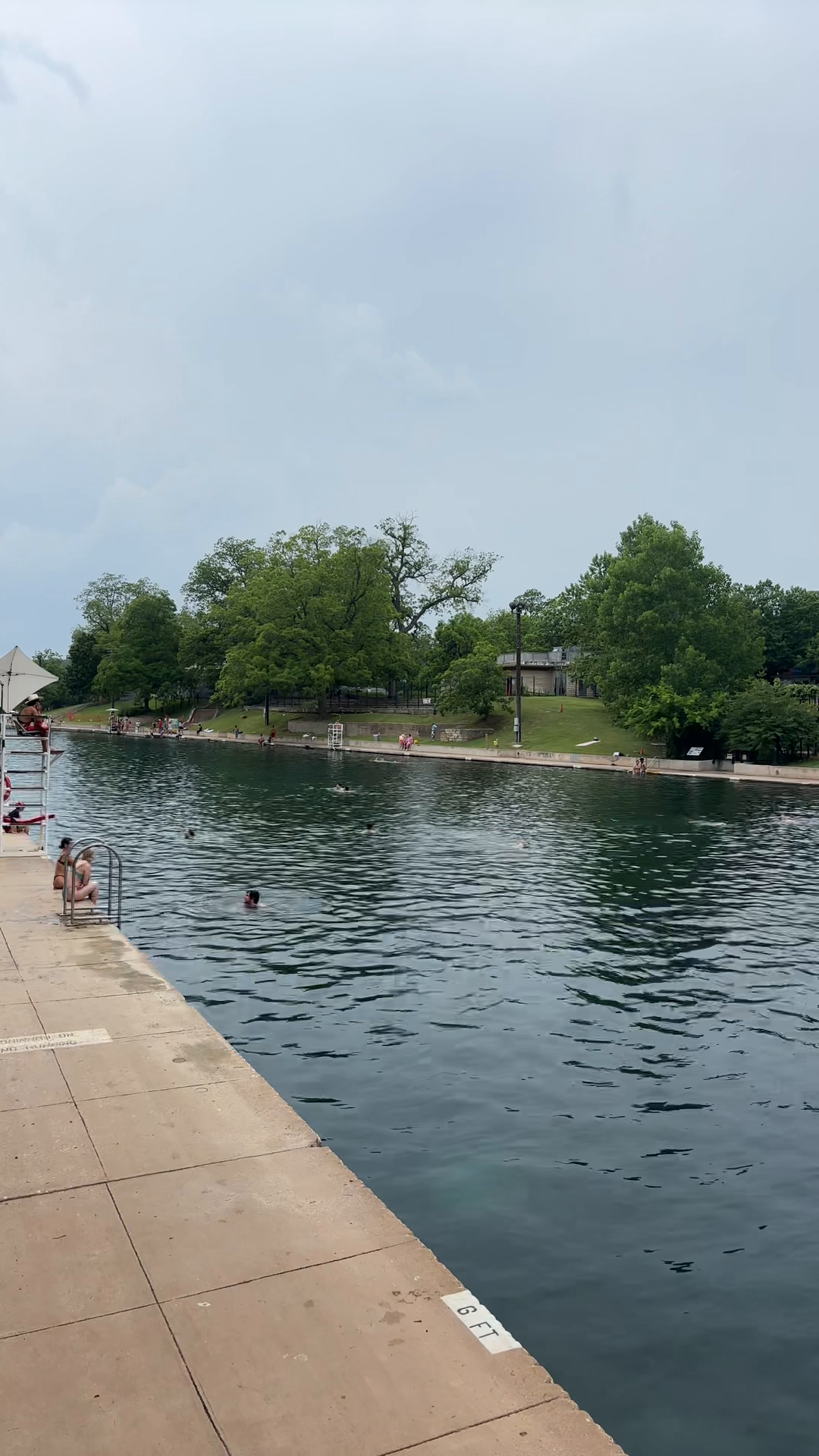 Barton Springs Observations