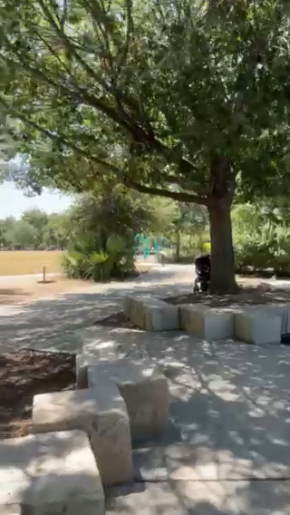 Austin Park Scene