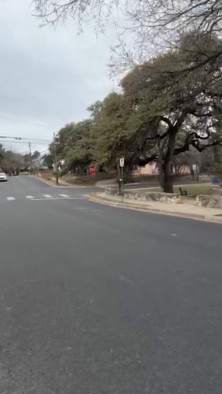 Tranquil Travis Heights