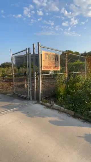 Serene Morning Stroll