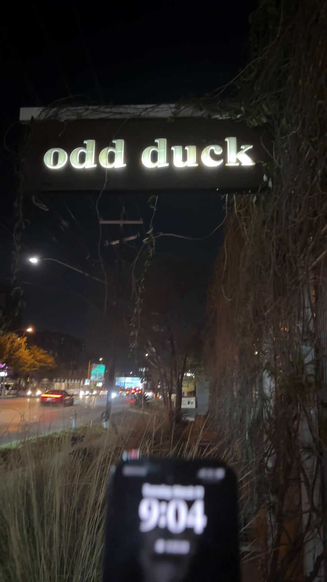 Odd Duck Wait