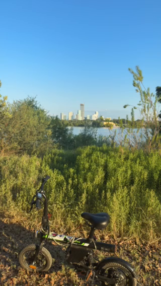 Morning Serenity in Austin